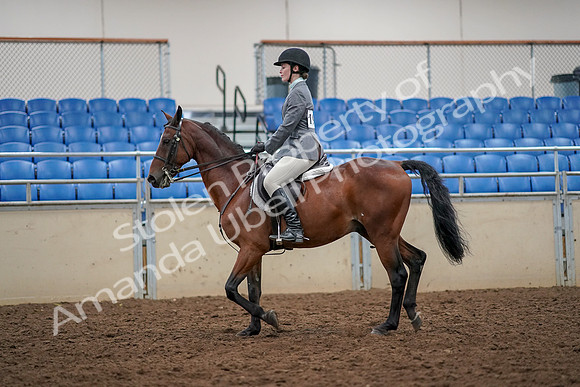 2019 Morgan Horse Show - Aug 30, 2019 - 23208