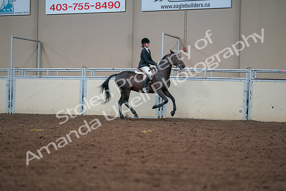 2019 Morgan Horse Show - Aug 30, 2019 - 21067