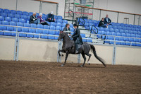 2020 - AB Morgan Horse - Sat, Sept 05 - 00827
