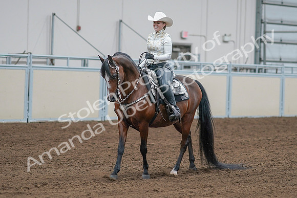 2020 - AB Morgan Horse - Sat, Sept 05 - 09021