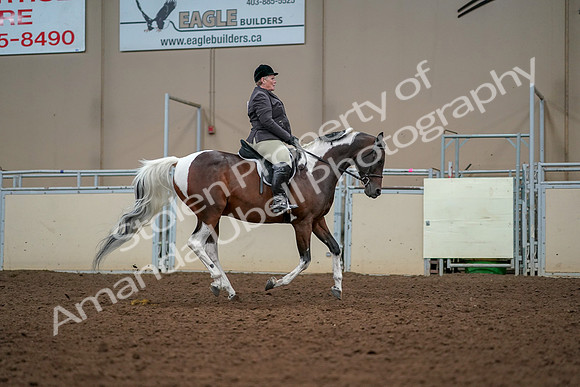 2019 Morgan Horse Show - Aug 30, 2019 - 22581