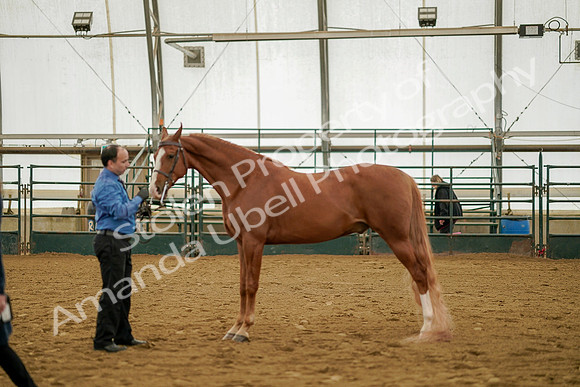 July 19, 2019 - 909