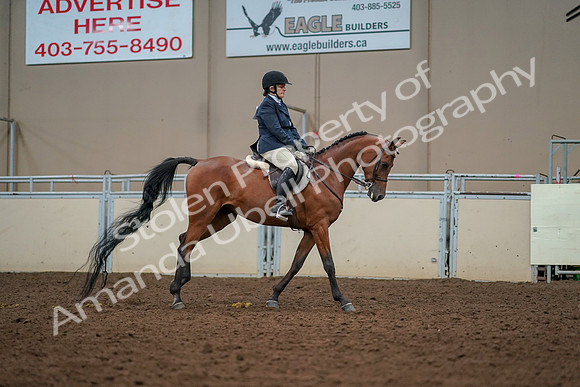 2019 Morgan Horse Show - Aug 30, 2019 - 22497