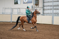 2020 - AB Morgan Horse - Fri, Sept 04 - 08681