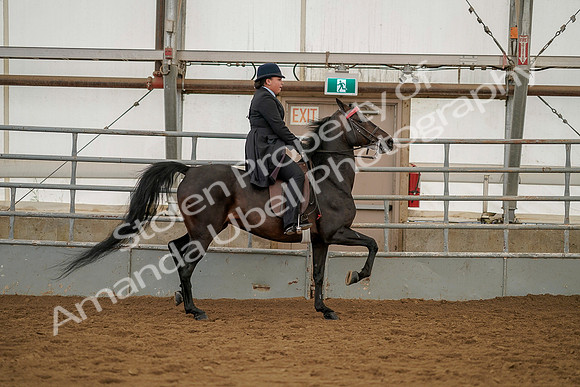 July 20, 2019 - 04536