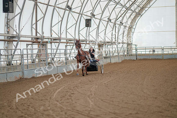 July 20, 2019 - 04917