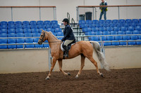 2019 Morgan Horse Show - Aug 30, 2019 - 22179