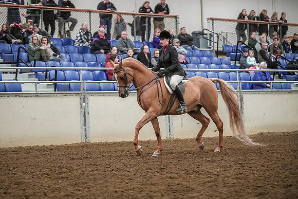 Spring Fling - Saturday - April 20, 2019  -  04569
