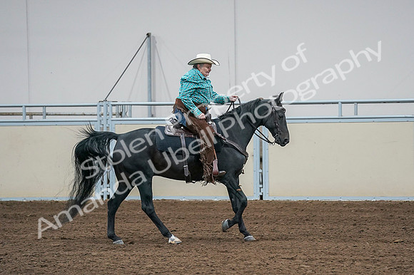 2020 - AB Morgan Horse - Fri, Sept 04 - 00609