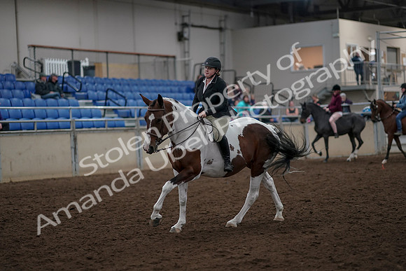 2019 Morgan Horse Show - Aug 30, 2019 - 31282