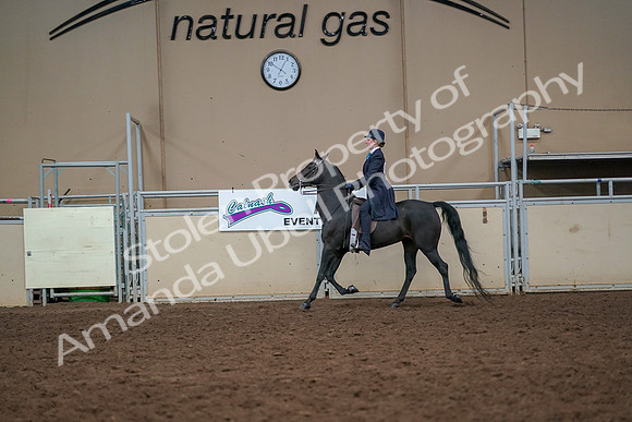 2019 Morgan Horse Show - Aug 30, 2019 - 12242