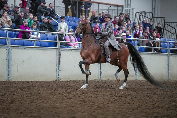 Spring Fling - Saturday - April 20, 2019  -  00488