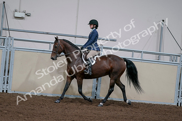 2020 - AB Morgan Horse - Fri, Sept 04 - 05920