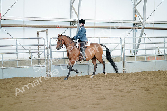 July 21, 2019 - 03291