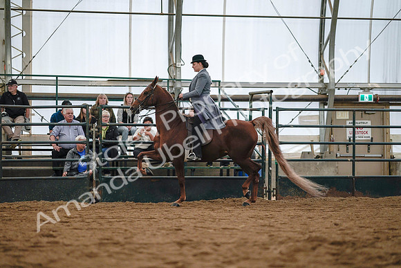 July 20, 2019 - 17013