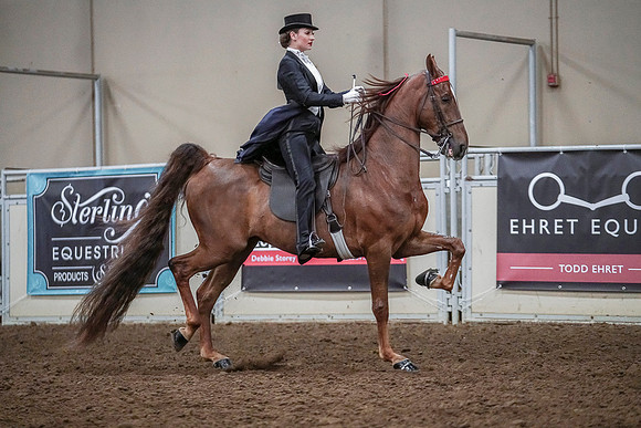Spring Fling - Saturday - April 20, 2019  -  04178