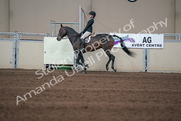 2019 Morgan Horse Show - Sept 01, 2019 - 03737