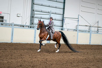 2020 - AB Morgan Horse - Sat, Sept 05 - 12080