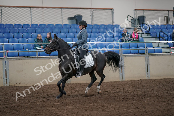 2019 Morgan Horse Show - Aug 31, 2019 - 07308
