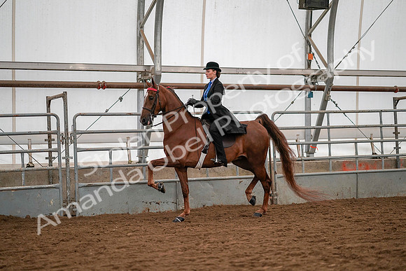 July 19, 2019 - 10461