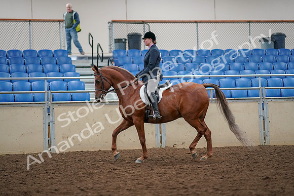 2019 Morgan Horse Show - Aug 30, 2019 - 22216