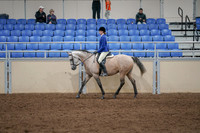 2020 - AB Morgan Horse - Fri, Sept 04 - 10347