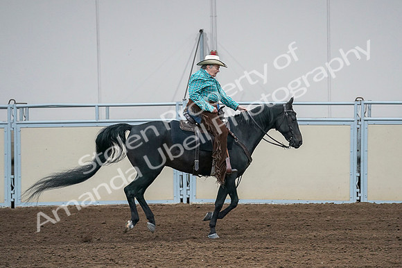 2020 - AB Morgan Horse - Fri, Sept 04 - 00489