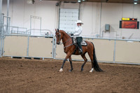 2020 - AB Morgan Horse - Fri, Sept 04 - 03463