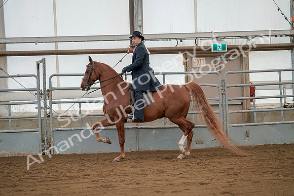 July 20, 2019 - 02106