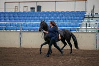 2019 Morgan Horse Show - Aug 31, 2019 - 00510