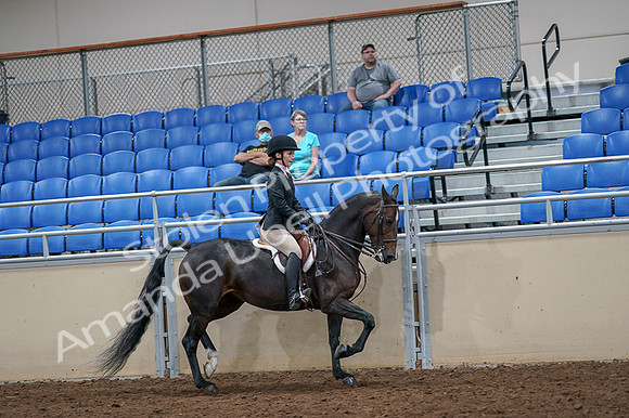 2020 - AB Morgan Horse - Fri, Sept 04 - 06035