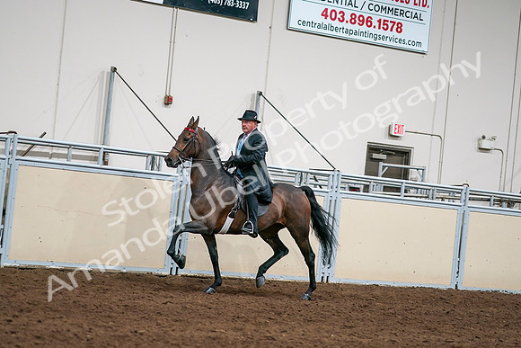 2020 - AB Morgan Horse - Sat, Sept 05 - 08117