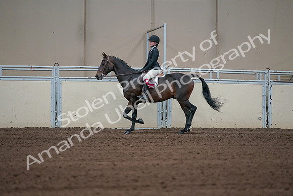 2019 Morgan Horse Show - Sept 01, 2019 - 03980