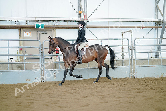 July 21, 2019 - 03358