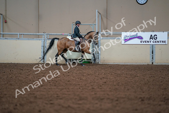 2019 Morgan Horse Show - Aug 30, 2019 - 20797