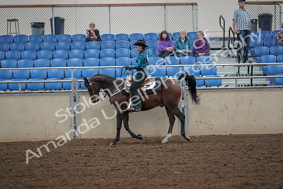 2019 Morgan Horse Show - Aug 30, 2019 - 25907