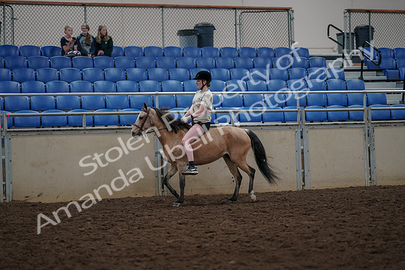 2019 Morgan Horse Show - Aug 30, 2019 - 31055