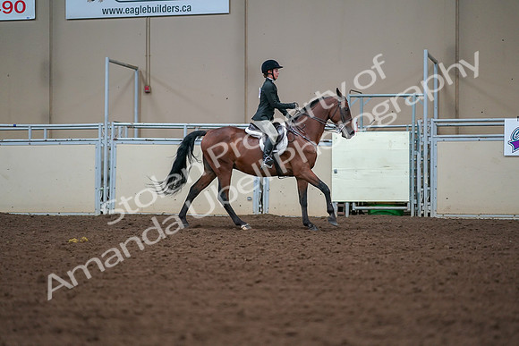 2019 Morgan Horse Show - Aug 30, 2019 - 21038