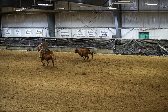 DSC02144