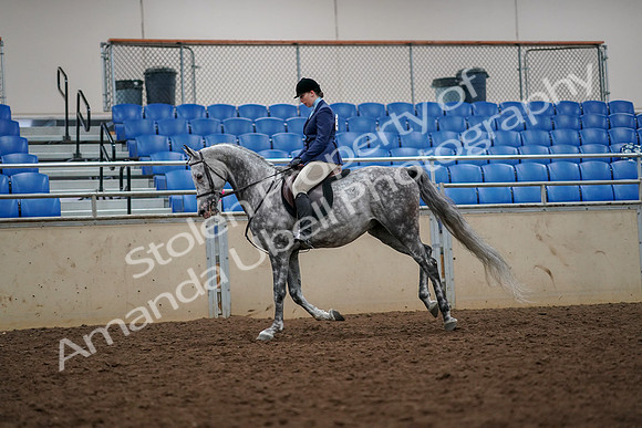 2019 Morgan Horse Show - Aug 30, 2019 - 22390