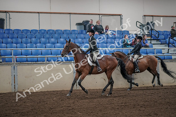 2019 Morgan Horse Show - Aug 31, 2019 - 05098