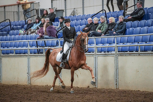 Spring Fling - Saturday - April 20, 2019  -  03708