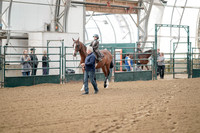 Class 091 - All Breed Assisted Walk-Trot