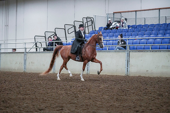 Spring Fling - Saturday - April 20, 2019  -  00785