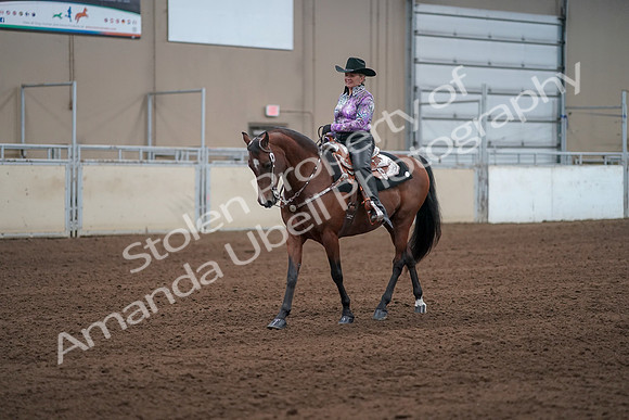 2019 Morgan Horse Show - Sept 01, 2019 - 07209
