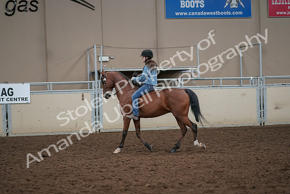 2019 Morgan Horse Show - Aug 30, 2019 - 31182