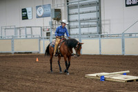 2020 - AB Morgan Horse - Fri, Sept 04 - 00218