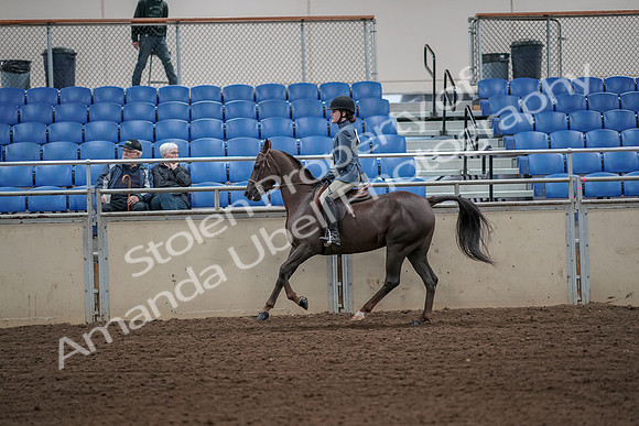 2019 Morgan Horse Show - Aug 31, 2019 - 05051