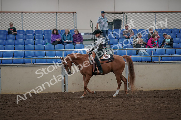 2019 Morgan Horse Show - Aug 30, 2019 - 26016
