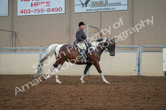 2019 Morgan Horse Show - Aug 30, 2019 - 22576